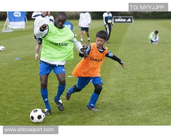 足球明星心声大揭秘：他们背后的故事与梦想分享