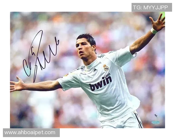 足球明星签名技巧揭秘让你轻松模仿球星签名的艺术与方法