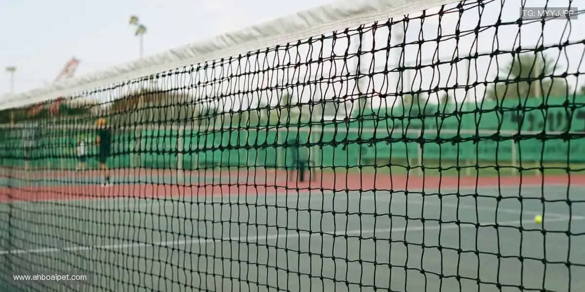 🏀装备齐全,个性定制你的运动 Style!